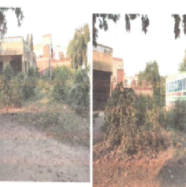 Smt Madhu Tiwari, Uttar Pradesh